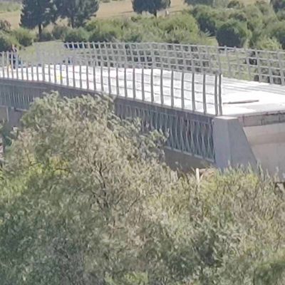 Easily Assembled Bs Standard Steel Structure Bridge Q355B Grade High Durability