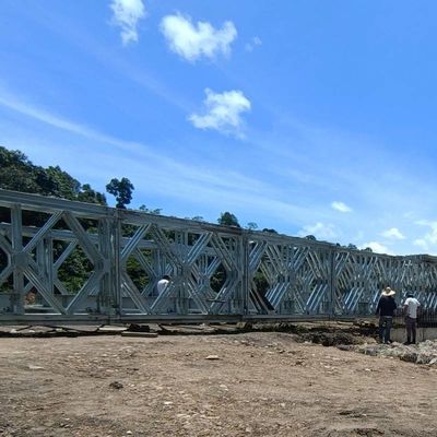 Skywalk Steel Pedestrian Bridge Single Lane 4.2m Double Lane 7.35m